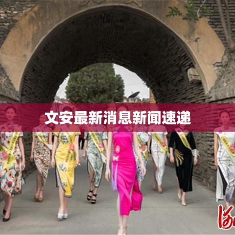 文安最新消息新闻速递