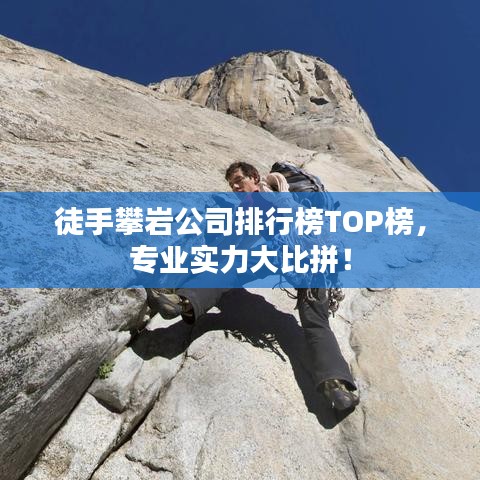 业务领域 第8页