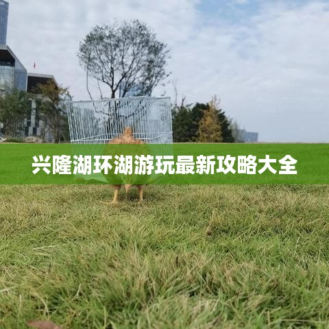 远山芙蓉