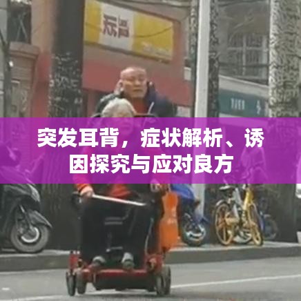 贵人多忘事