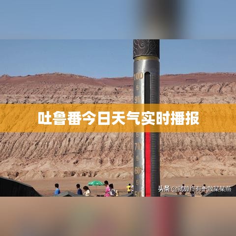 百不一遇