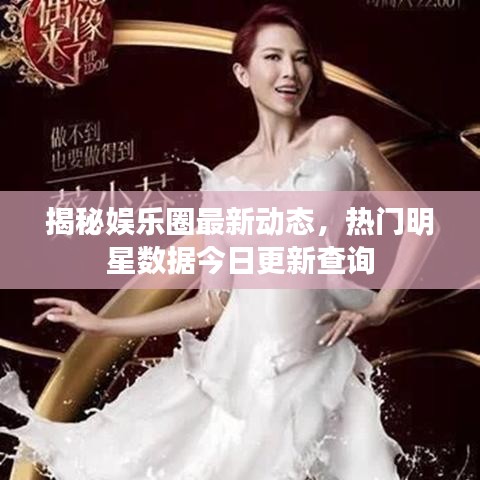 揭秘娱乐圈最新动态，热门明星数据今日更新查询