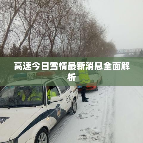 走马观花