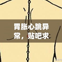 罗含梦鸟