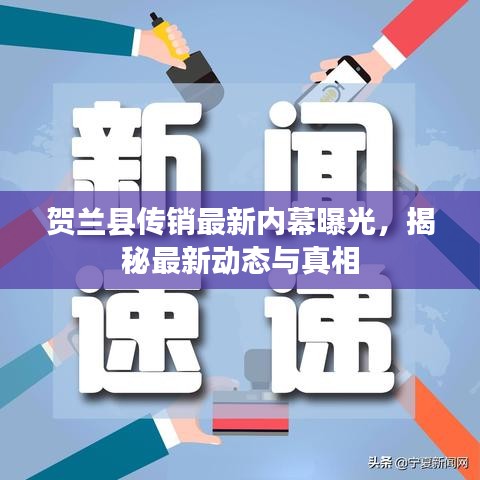 贺兰县传销最新内幕曝光，揭秘最新动态与真相