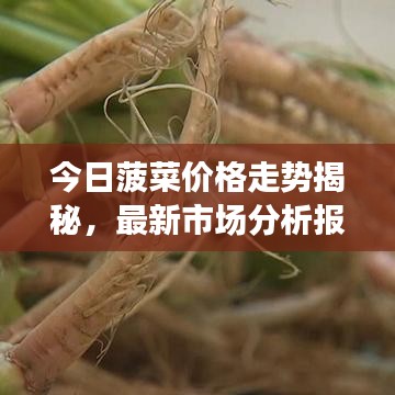 坐井观天