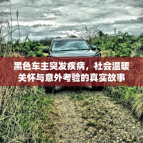 雅人清致
