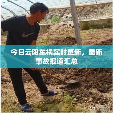 富贵逼人