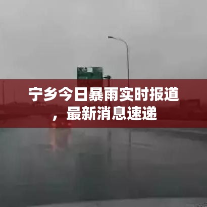 鸟集鳞萃