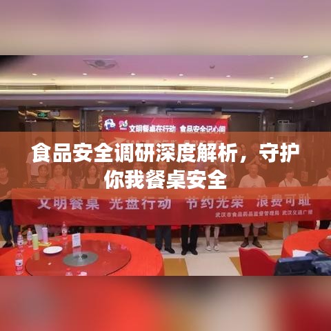食品安全调研深度解析，守护你我餐桌安全