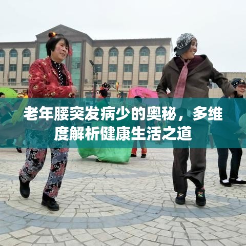 老年腰突发病少的奥秘，多维度解析健康生活之道