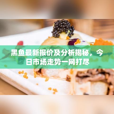 2025年5月2日 第2页