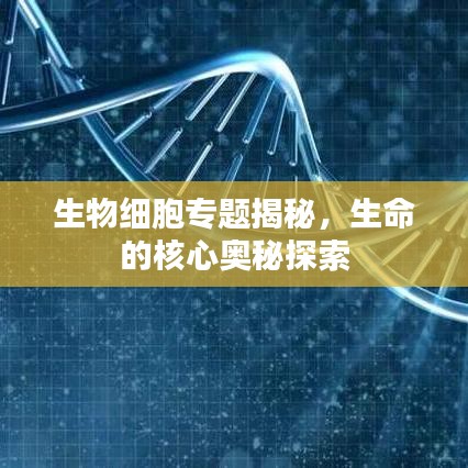 生物细胞专题揭秘，生命的核心奥秘探索