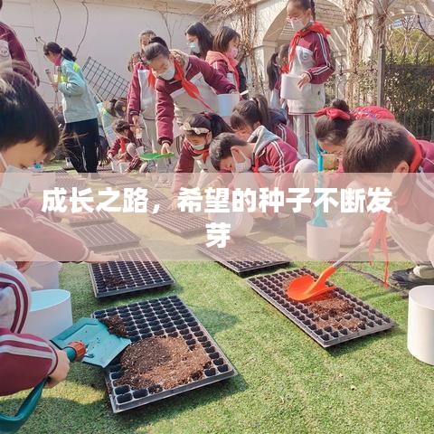 成长之路，希望的种子不断发芽