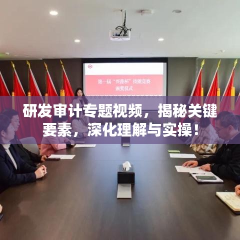 研发审计专题视频，揭秘关键要素，深化理解与实操！