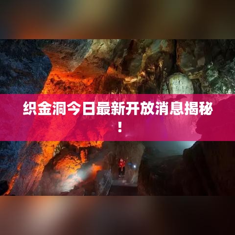 织金洞今日最新开放消息揭秘！