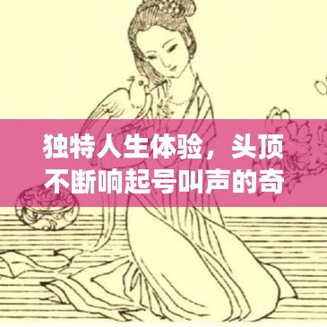 独特人生体验，头顶不断响起号叫声的奇异之旅