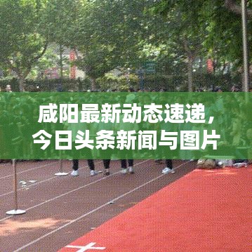 咸阳最新动态速递，今日头条新闻与图片分享