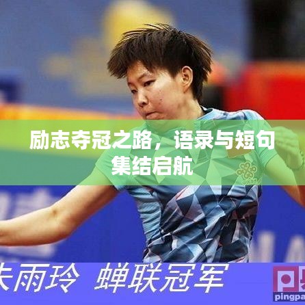 百不一遇