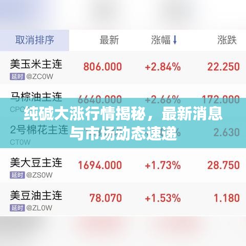 纯碱大涨行情揭秘，最新消息与市场动态速递
