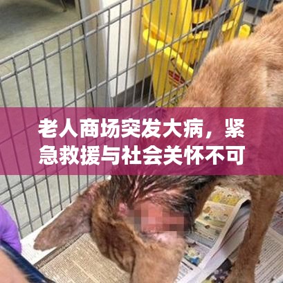 老人商场突发大病，紧急救援与社会关怀不可或缺
