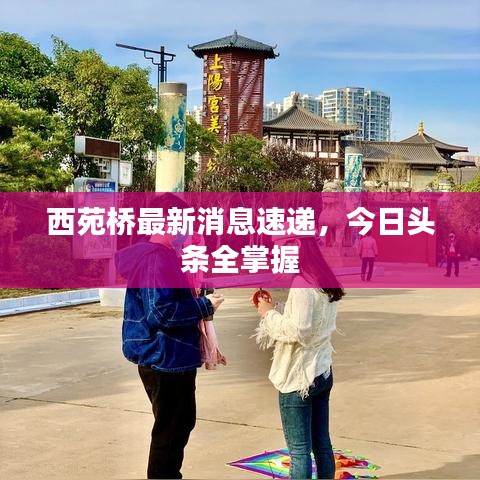 西苑桥最新消息速递，今日头条全掌握