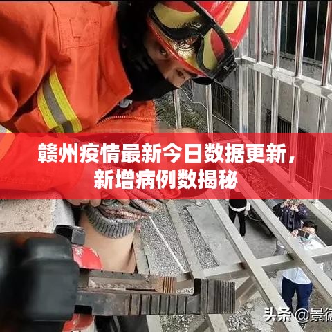 赣州疫情最新今日数据更新，新增病例数揭秘