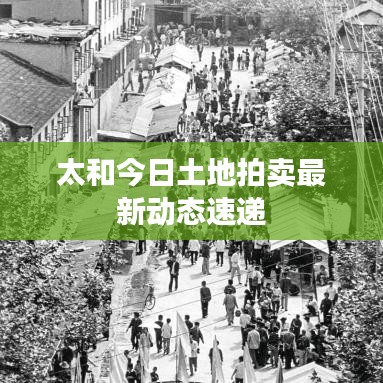 太和今日土地拍卖最新动态速递