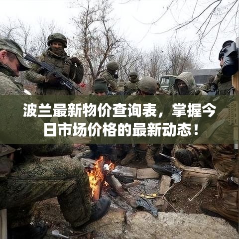 波兰最新物价查询表，掌握今日市场价格的最新动态！