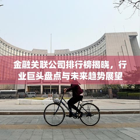 金融关联公司排行榜揭晓，行业巨头盘点与未来趋势展望