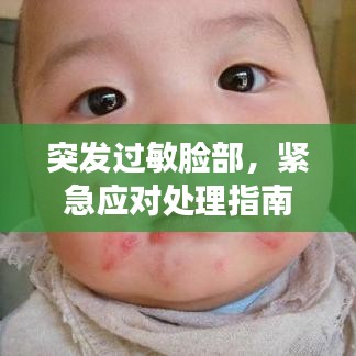 2025年6月 第18页
