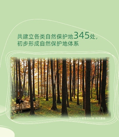 共创森林官方下载,持久性计划实施 Device_v3.619