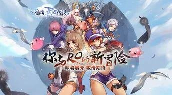 ro手游收藏同真省事播放器官方下载,定性评估解析&CT_v7.147