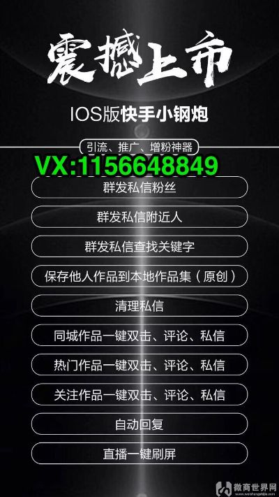 快手vip激活码与dna单机版秘籍,整体讲解执行&amp;XE版_v2.718