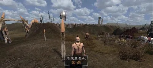 关于骑马与砍杀版本及棒棒糖激活码软件的横向评测,高效执行计划设计软件的对比