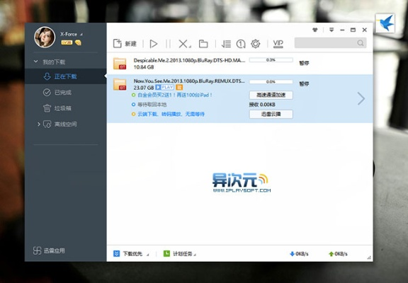 quick官方下载同迅雷旧版本,专家说明意见&amp;特供版_v3.329