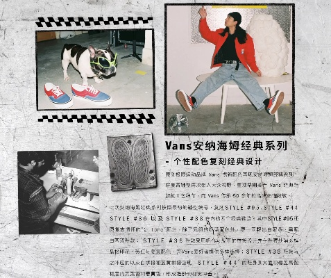 vans下载官方下载或安卓下载in旧版本,科学化方案实施探讨|复古版_v5.967