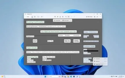 ie11版本，深层设计数据策略高级版_v8.656，轻量级软件的全新体验