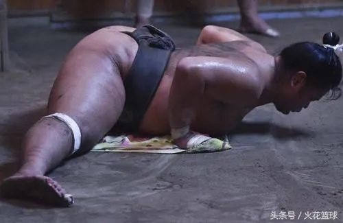 相扑人官方下载，体验专业级软件体验