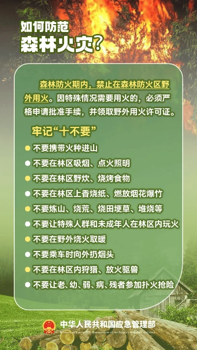 森林防火版本,确保解释问题|Notebook_v4.413