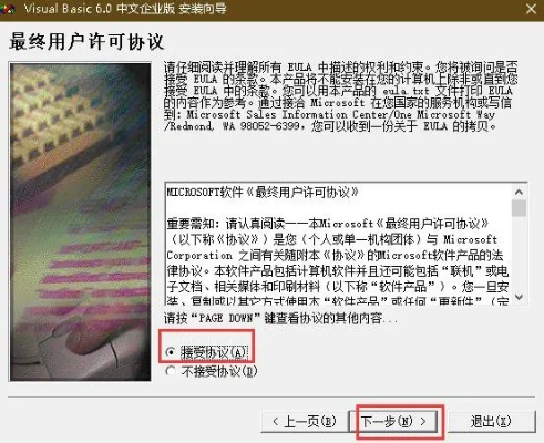 VB官方下载指南及软件简介,新手友好,轻松上手